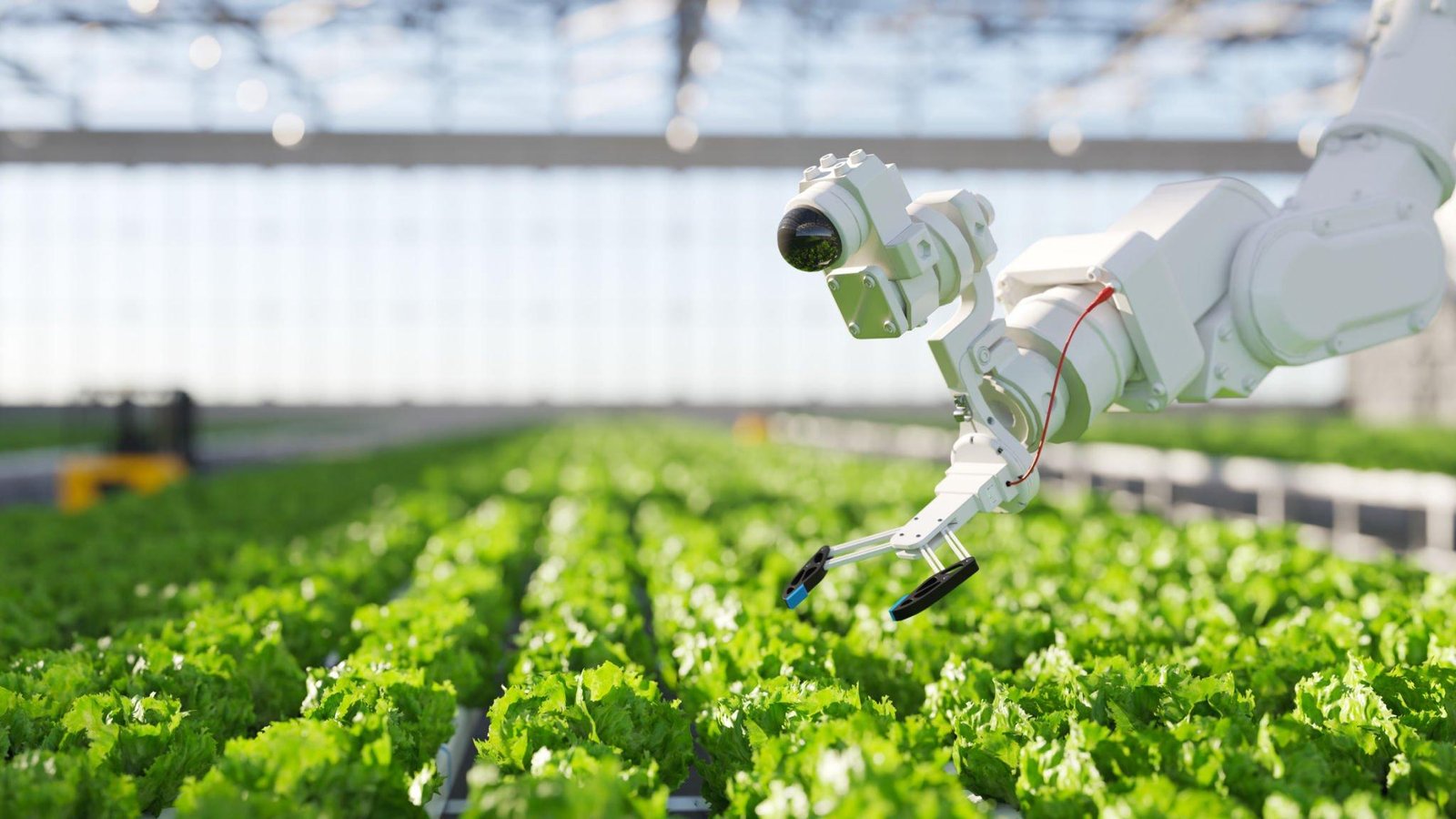 Robots in Agriculture Example